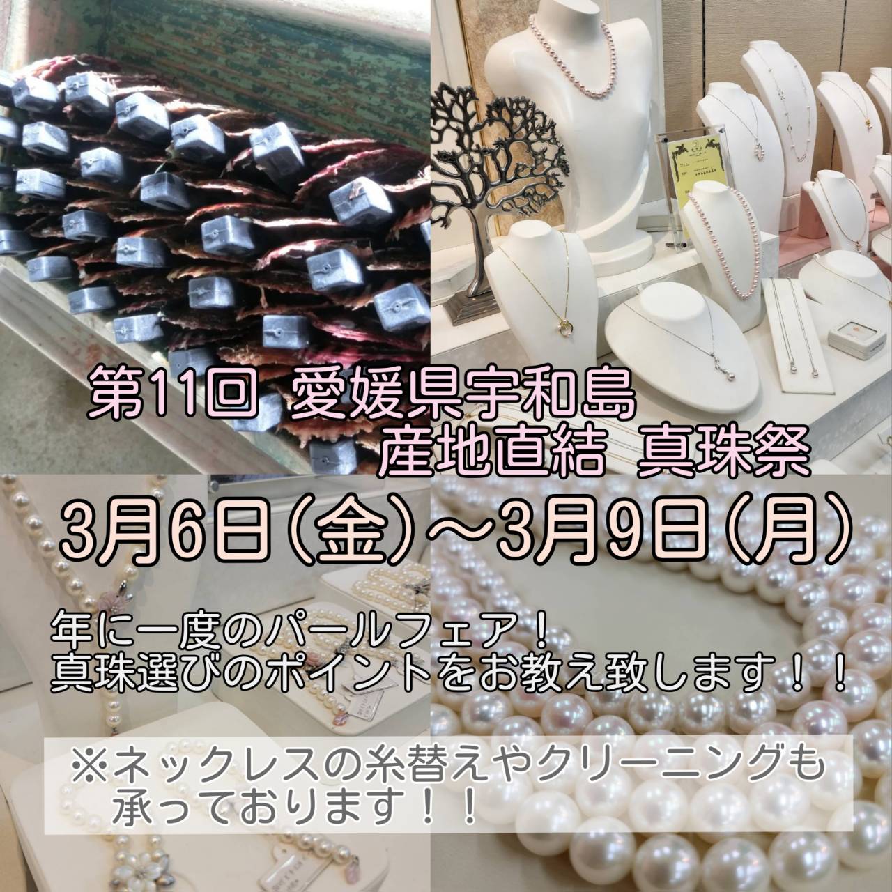 真珠(パール)をご希望ご検討の皆様へ