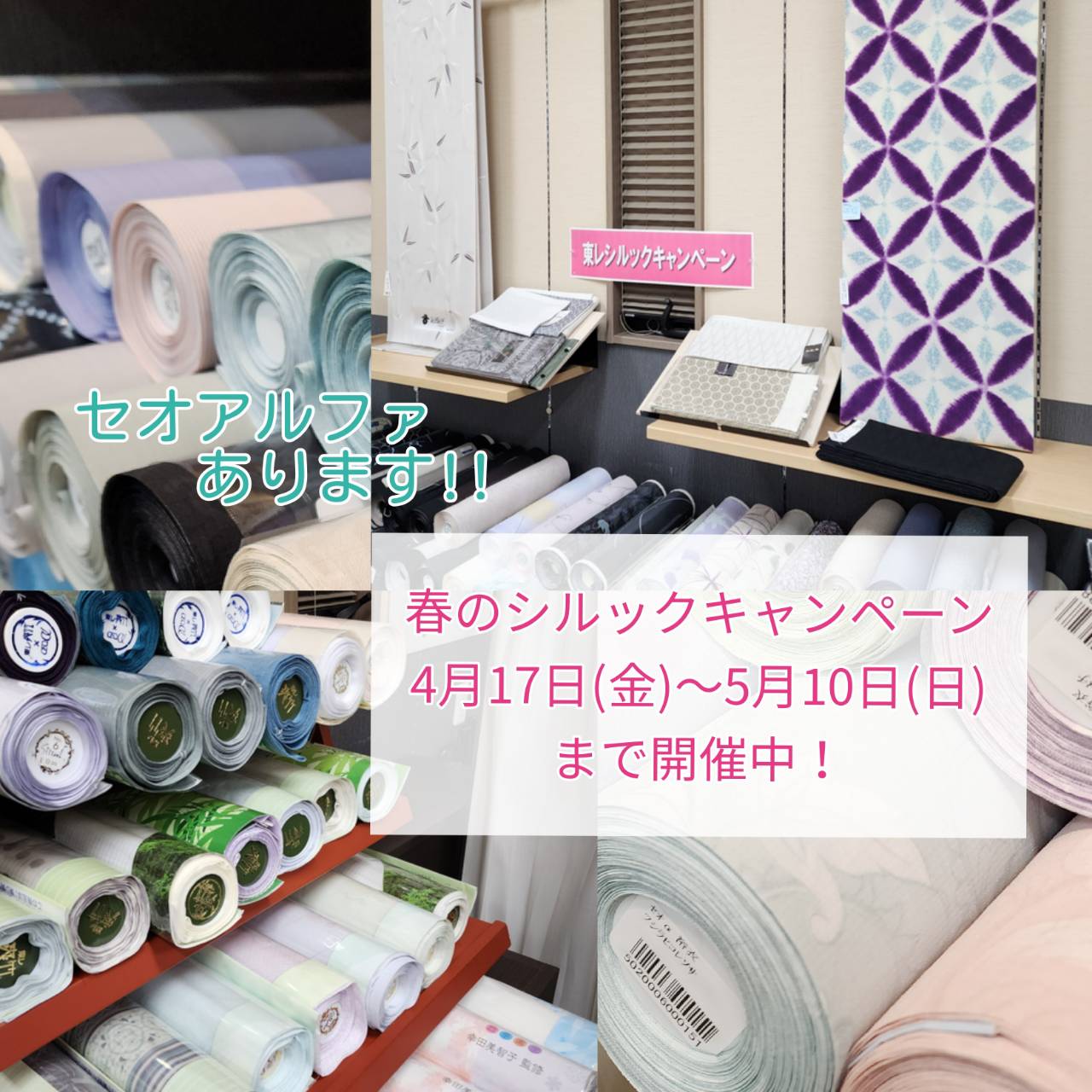 春のシルックキャンペーン